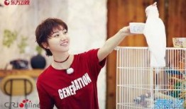 吃瓜娱乐圈王源,娱乐圈的瓜田，他的成长与蜕变